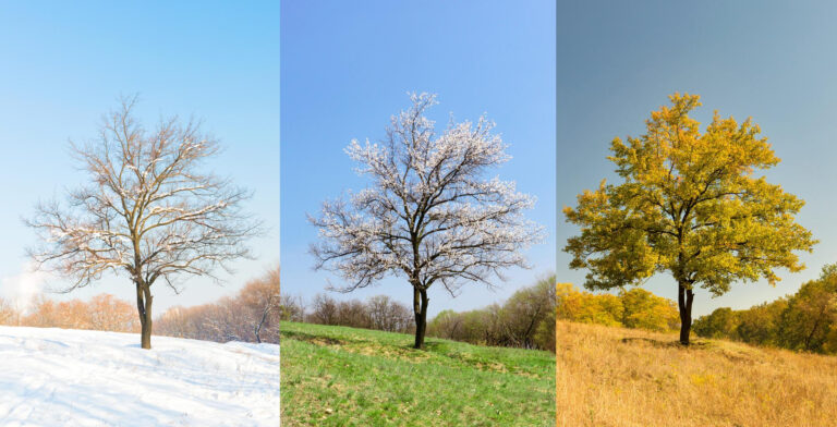 Seasonal Items You Can Pawn: What Sells Best Throughout the Year
